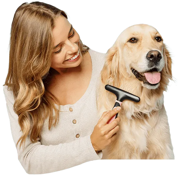 Tosquia e Grooming
