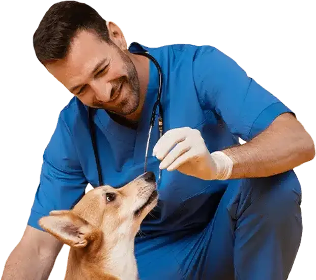 Auxiliar de Fisioterapia e Reabilitação Animal